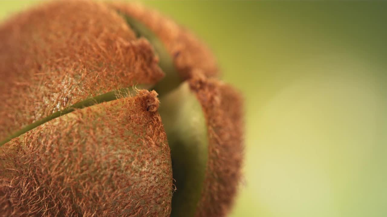 新鲜猕猴桃喷射果汁的慢动作，绿色自然背景4K视频下载