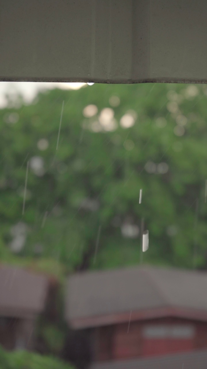 屋顶上的雨滴视频下载