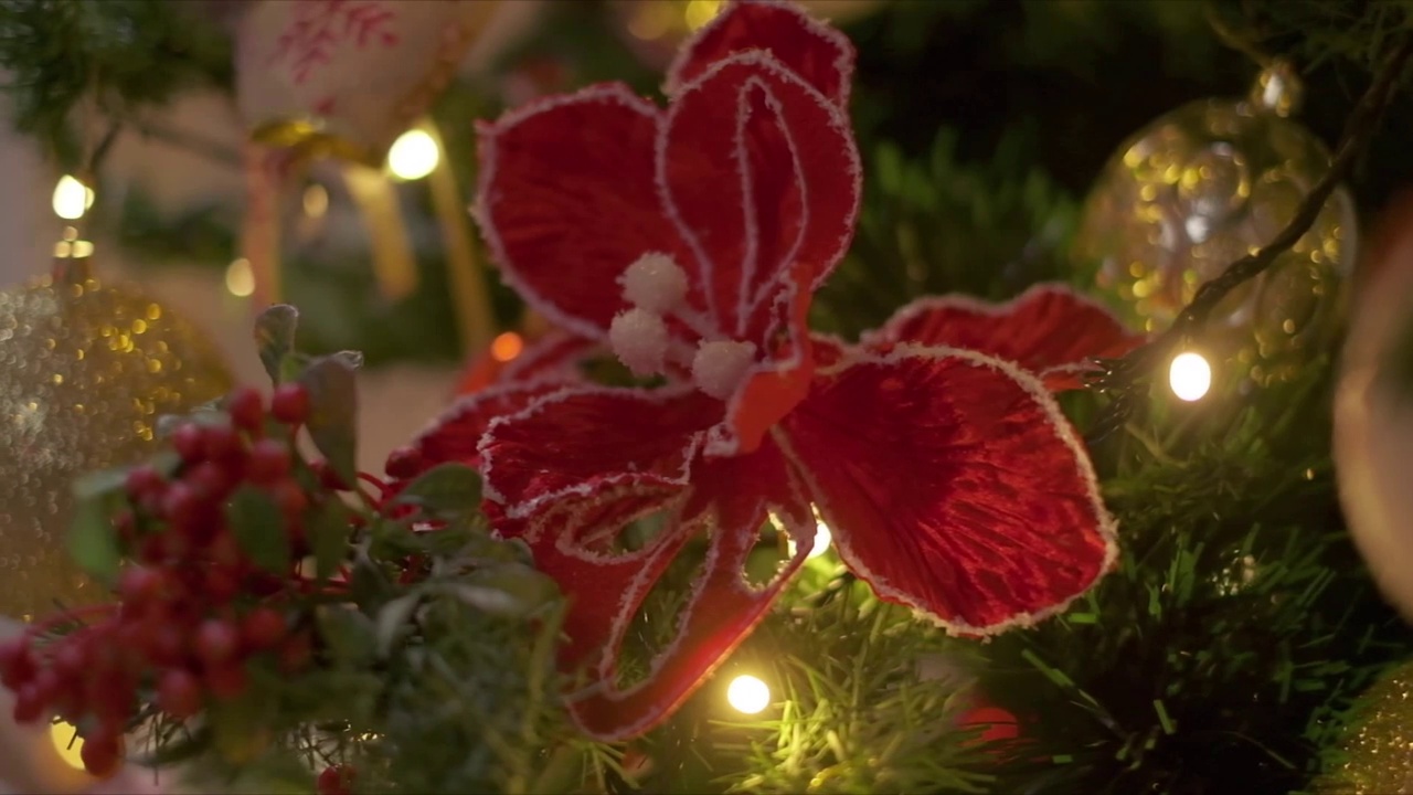 圣诞树上红色的人造花和闪烁的圣诞花环。视频素材