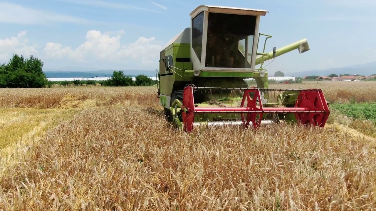 联合收割机收割小麦的视频视频下载