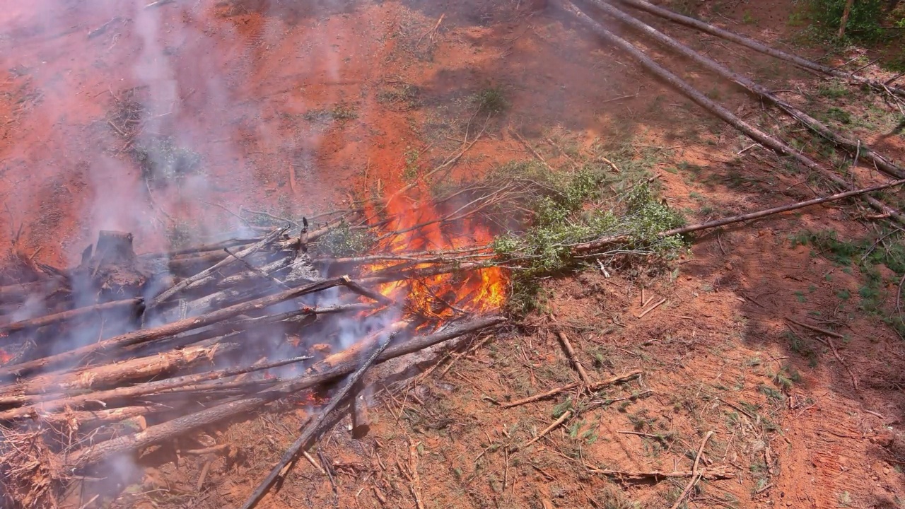 当一场野火爆发时，倒下的树木被烧得满地都是，造成了大气灾难视频素材