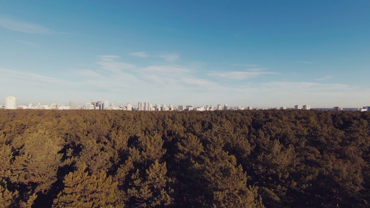 树梢、森林和城市背景的天空视图。无人机平稳起飞，许多大型灯光建筑映衬着蓝天。空中景观视频下载