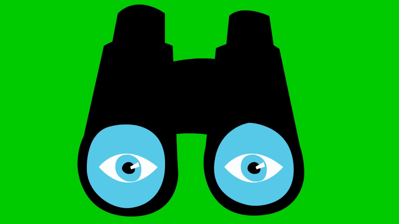 有眼睛的动画黑色双筒望远镜。眨一下眼睛。毛圈的视频。搜索、旅行、间谍的概念。矢量插图在绿色背景。视频素材