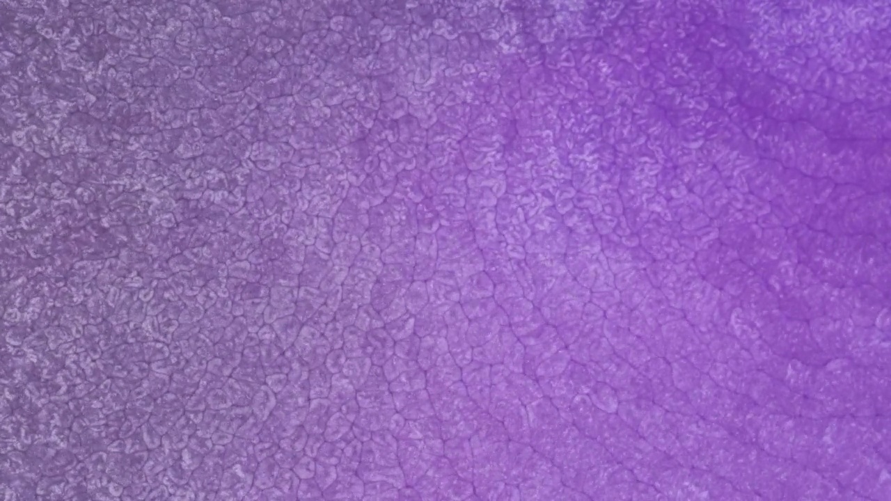 紫色流体背景视频素材