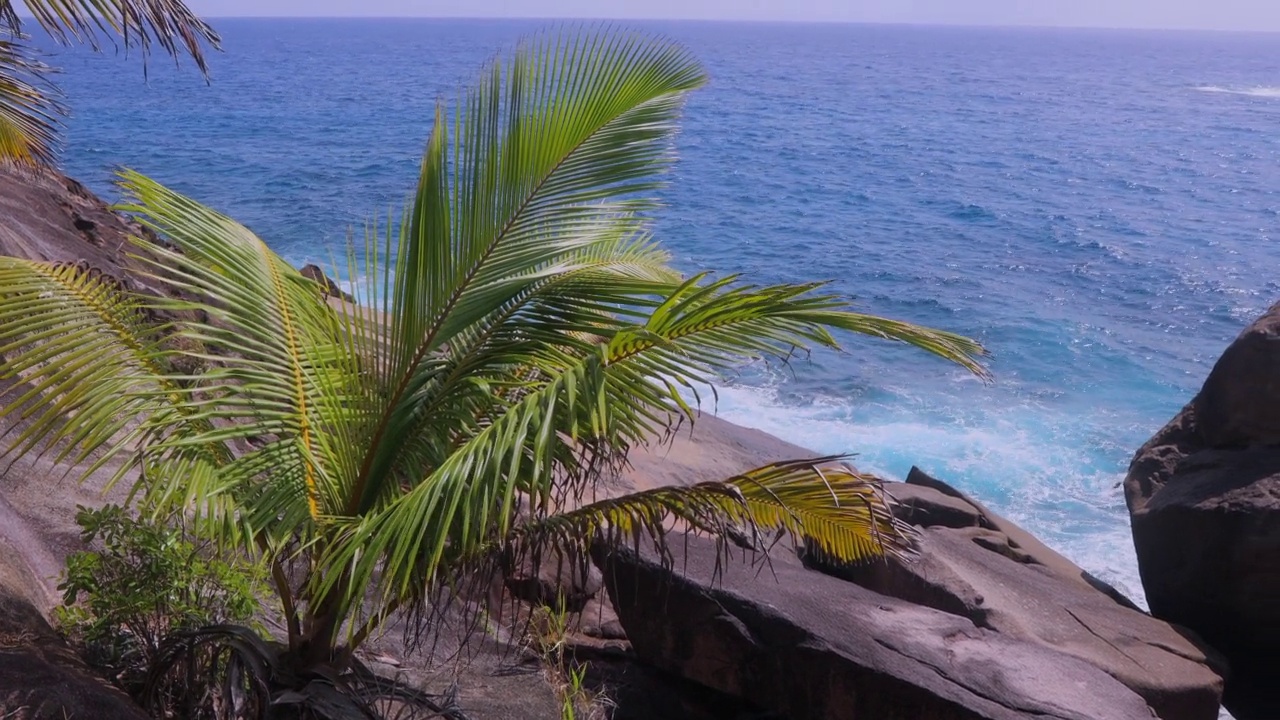 塞舌尔美丽的自然风光视频素材