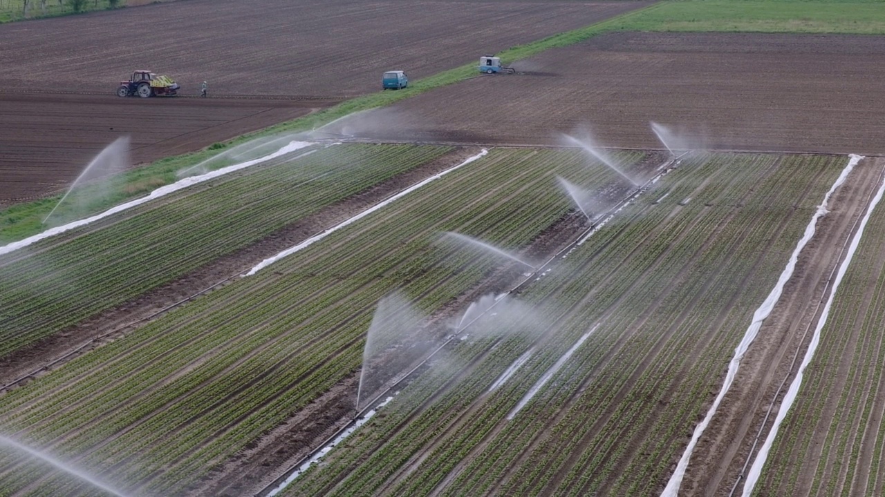 灌溉:用人工灌溉和农业机械灌溉的农田。浇水,视频下载