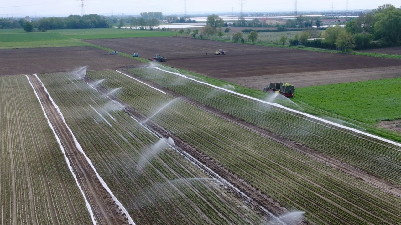 灌溉:用人工灌溉和农业机械灌溉的农田。浇水,视频下载
