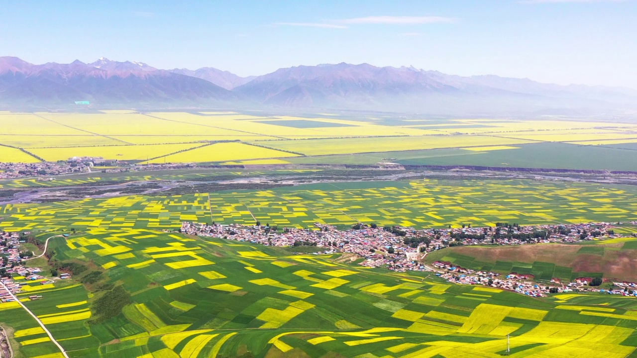 青藏高原农田的美景视频素材