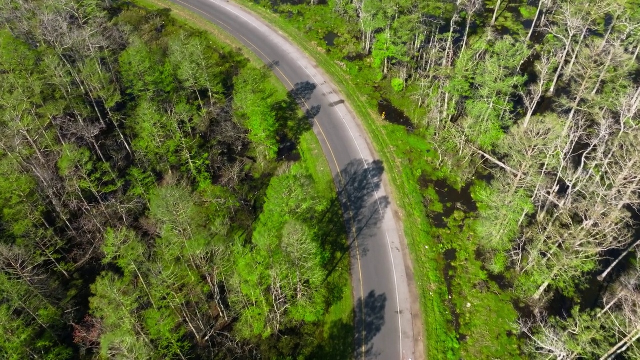 车辆通过路易斯安那沼泽的下降鸟瞰图视频下载