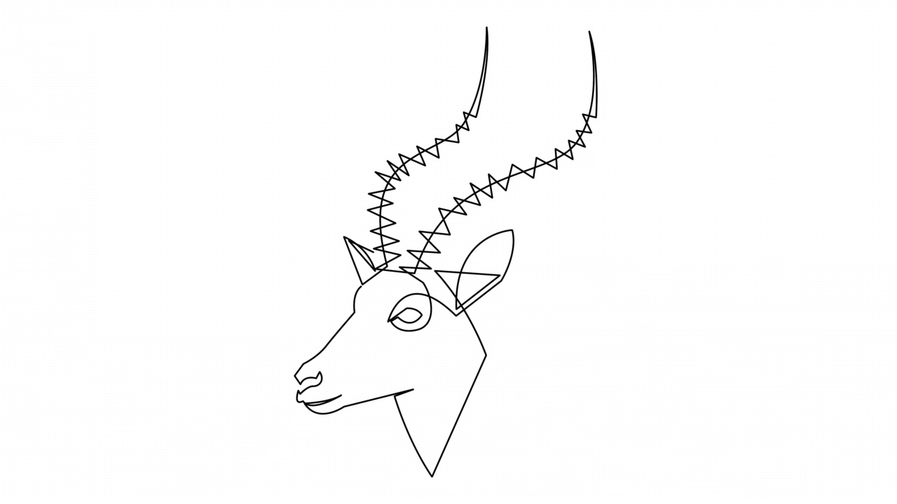 自行绘制简单的连续线羚羊动画。手绘动物头像，白底黑线。视频下载