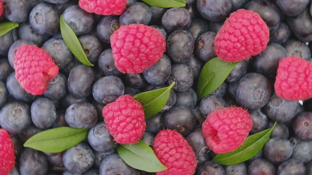 蓝莓和覆盆子，旋转背景。特写镜头。蓝莓和树莓与绿叶旋转背景。视频下载