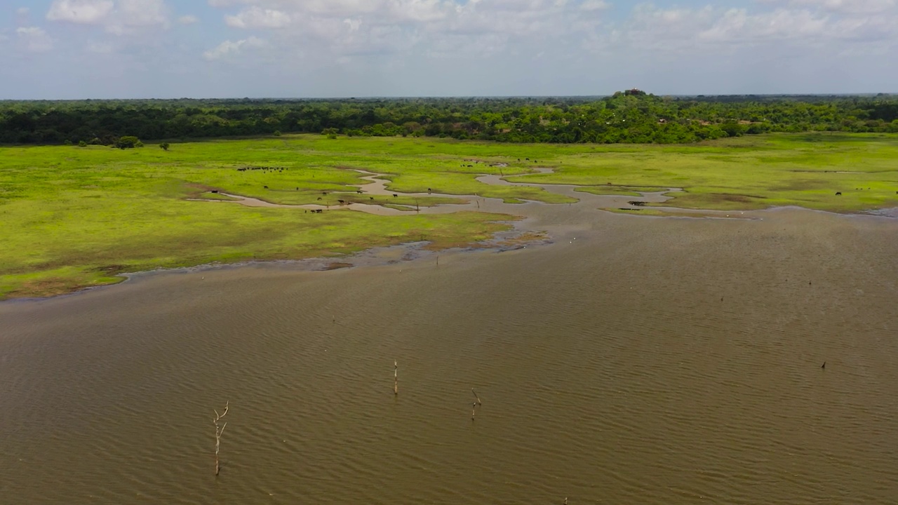 斯里兰卡国家公园的湖。视频素材