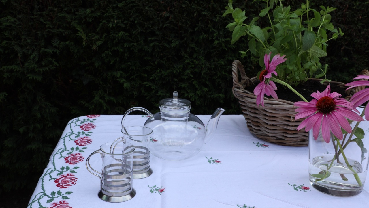 成年女性手摆茶桌，桌上放着一个茶壶和两个金属杯子视频下载