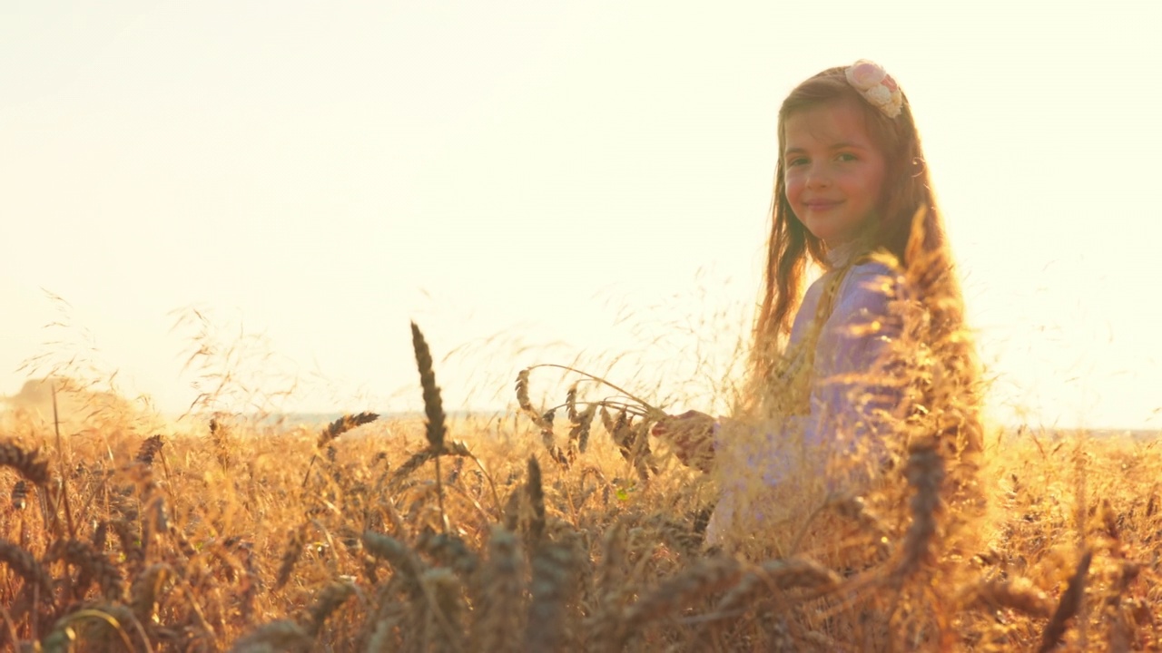 美丽的少女女子穿着传统的保加利亚民俗服装，手持金色的麦秸在收获的田野，农业概念视频下载