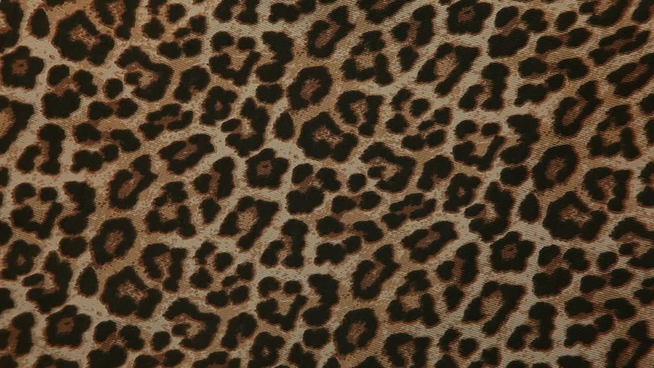 豹纹织物背景的镜头视频下载