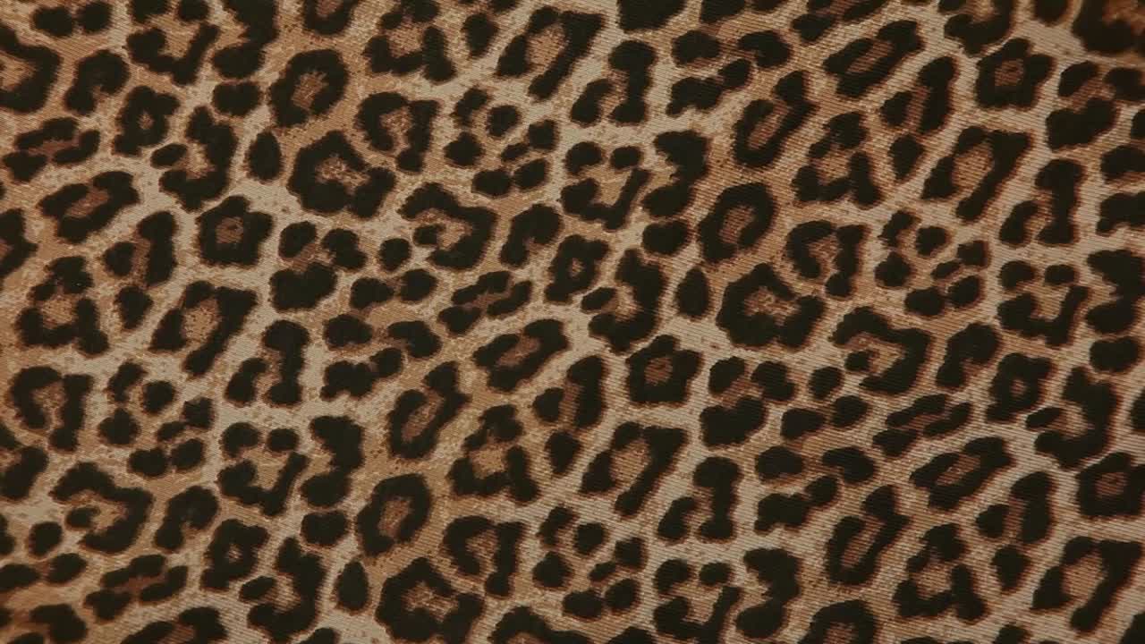 豹纹织物背景的镜头视频素材