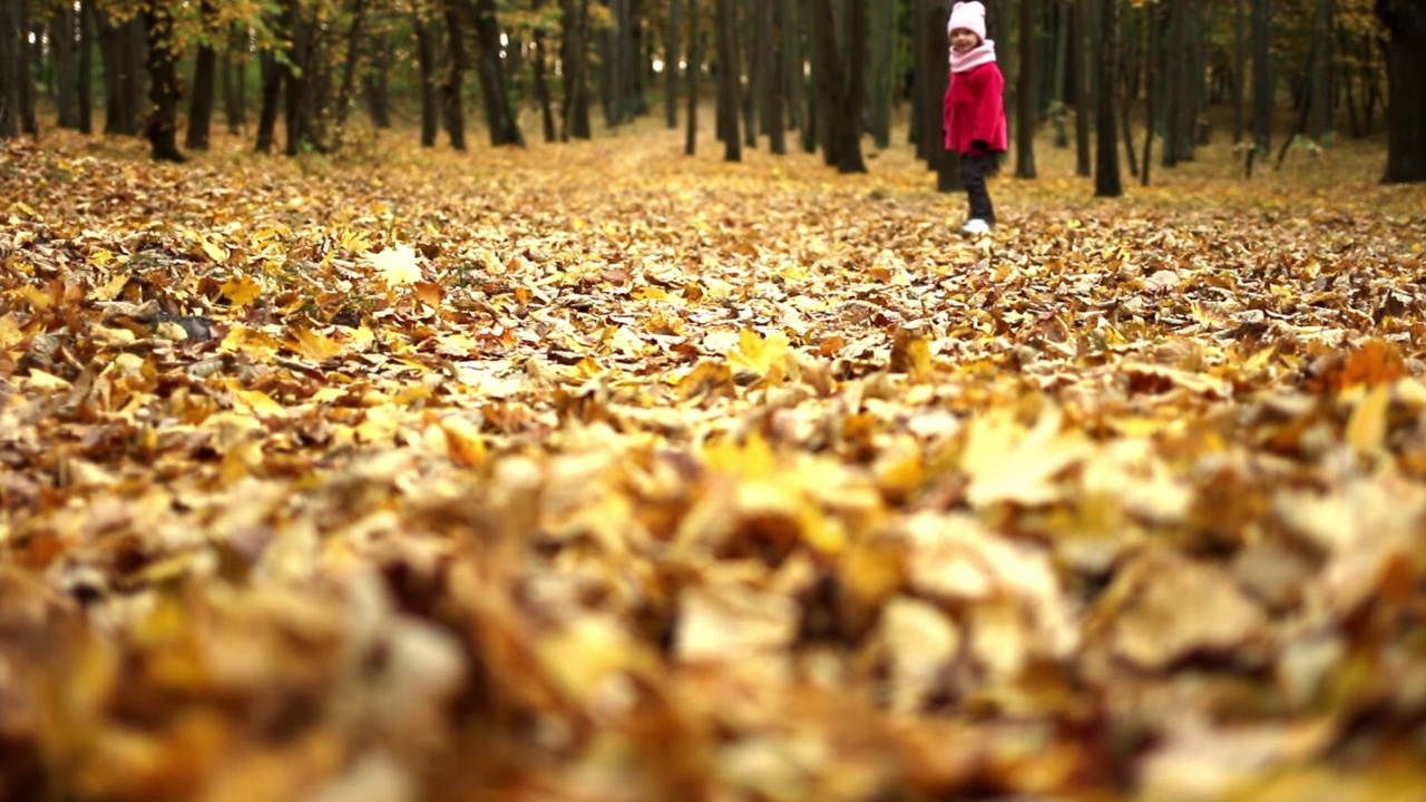 一个三岁的小女孩穿着红色的外套，踩着一片桔黄色的叶子，跑过秋天的森林视频素材