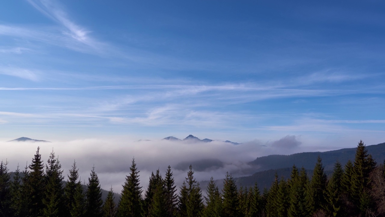 雾正在山谷里的云杉林上蔓延。蓝天白云。视频素材