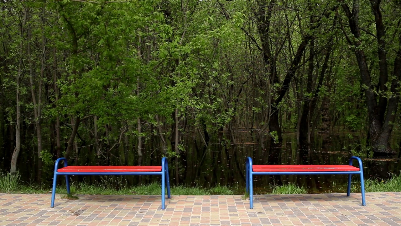 河岸附近的公园里有两条空荡荡的红色长椅。视频素材