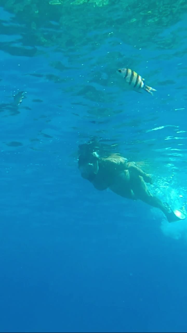 垂直视频:戴着面具和脚蹼的女人在水面上游泳。女浮潜者在蓝色的水中游泳。水下拍摄视频下载