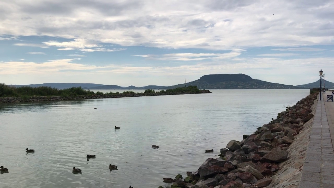 巴拉顿湖Fonyod港夏季景观水上运动高级社会匈牙利Somogy欧洲视频下载