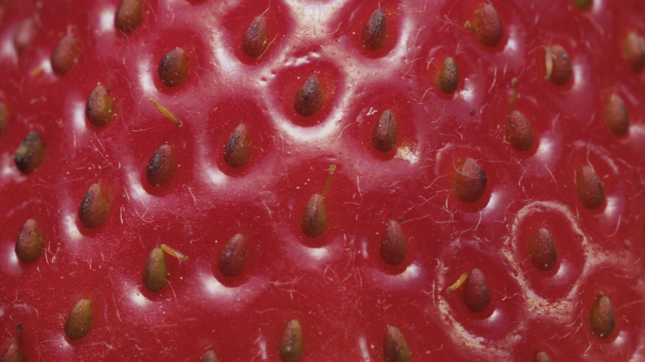 多汁的红色草莓，旋转，超级宏，种子和草莓上的毛。视频素材