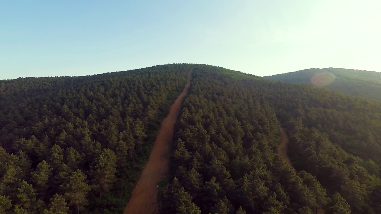 空中松林和道路视频素材
