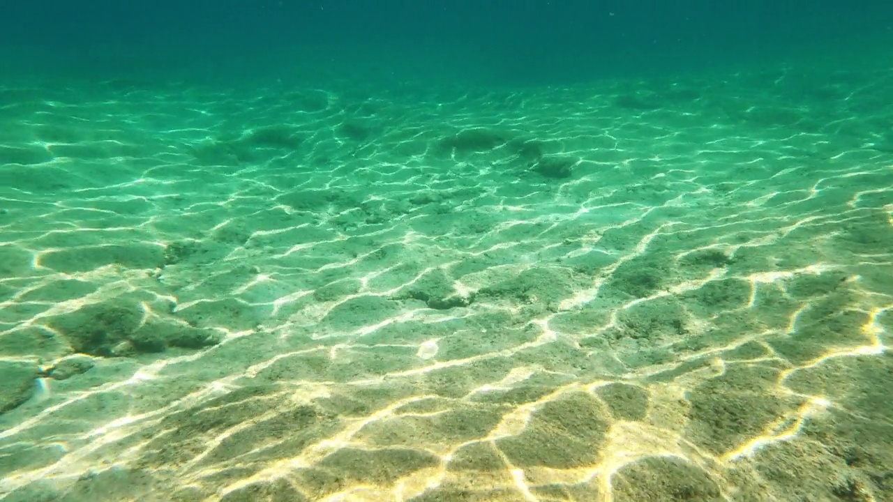 水下生活。热带海域有海星的珊瑚礁视频下载