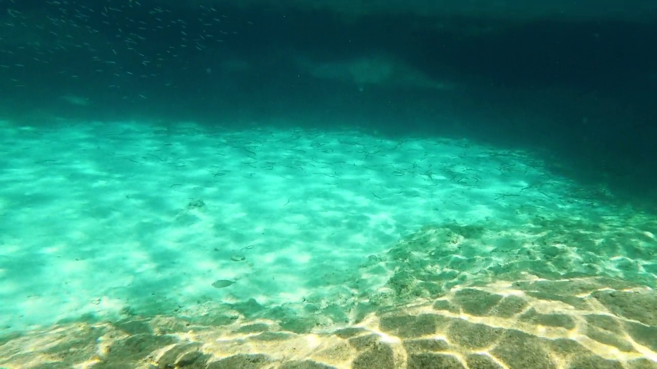 水下生活。热带海域有海星的珊瑚礁视频下载