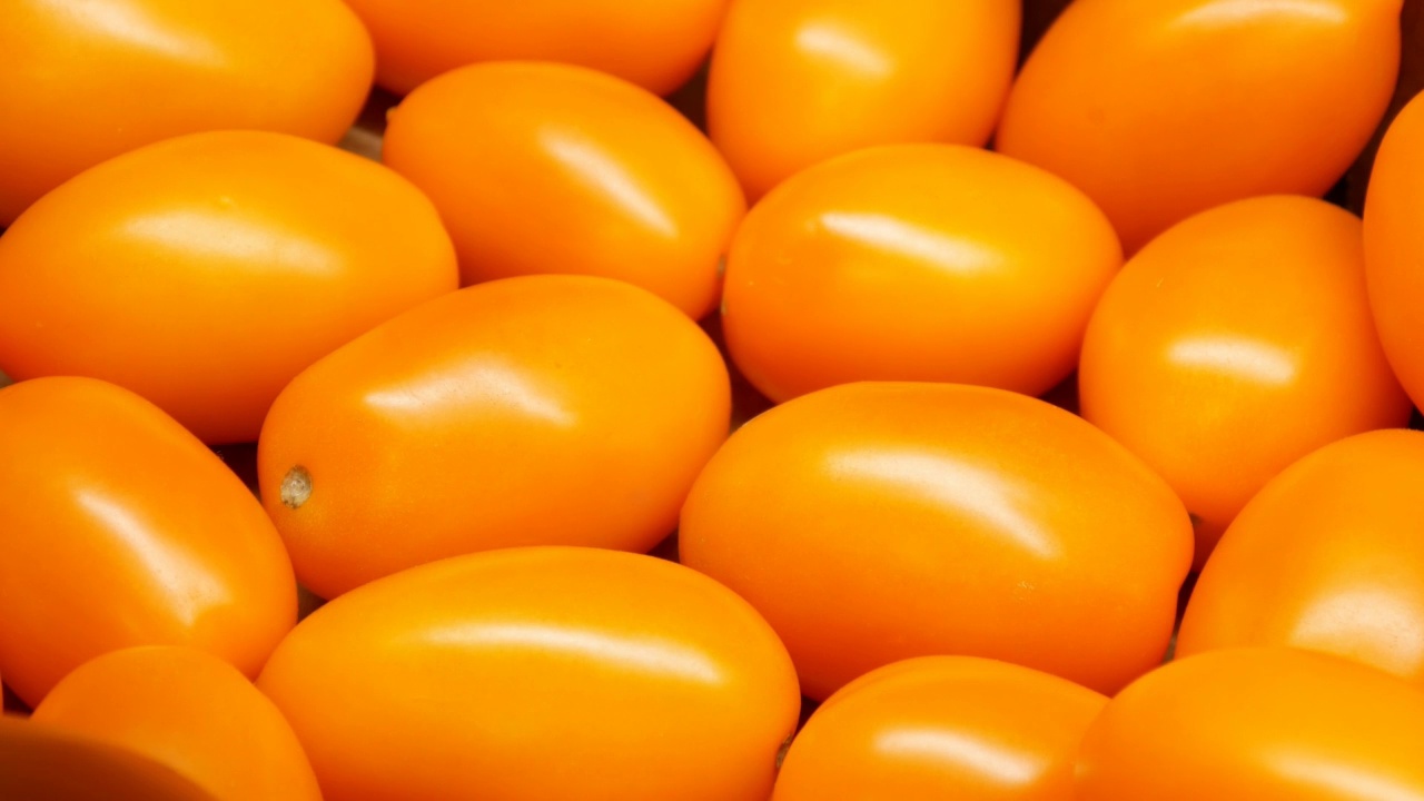 许多成熟的橙色西红柿的特写，一个男性买家的手拿着一个视频下载