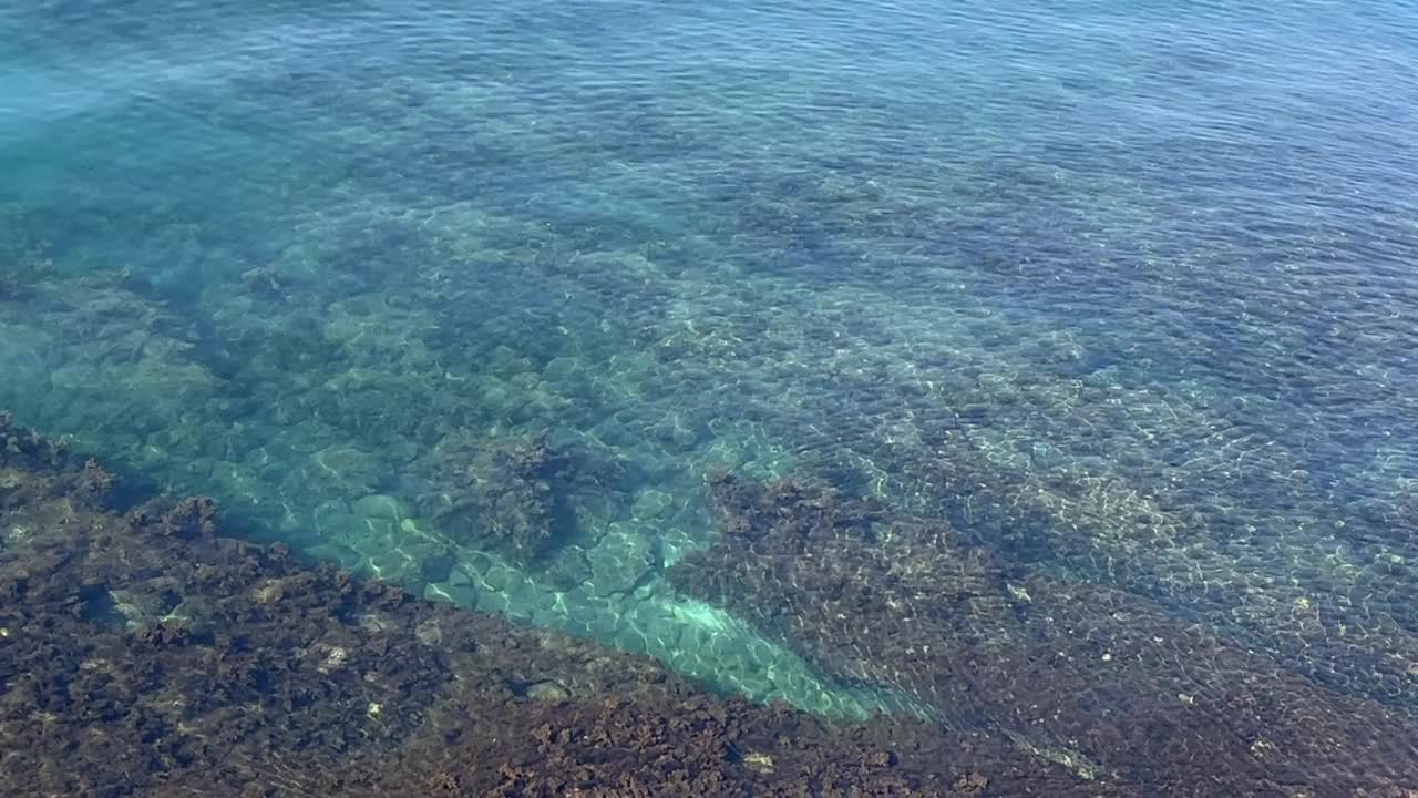 碧蓝碧绿的海浪。在清澈的水中钓鱼。视频素材