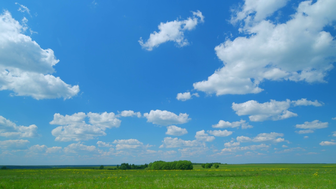 这是一个带有绿色田野的令人惊叹的夏季风景的静态照片。自然草地上盛开的鲜花田在蓝天。广角镜头。间隔拍摄。视频下载