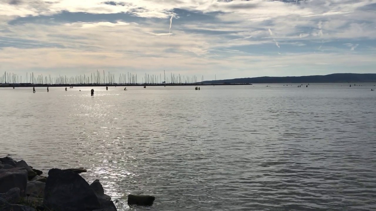 Fenyves湖巴拉顿港夏季景观水上运动高级社会匈牙利Somogy欧洲视频素材