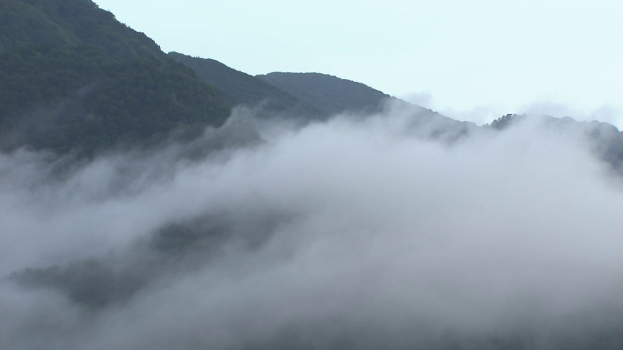 云在山腰流动，德岛，日本视频素材