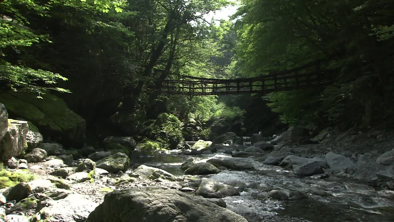 悬索桥在Iya，德岛，日本视频素材