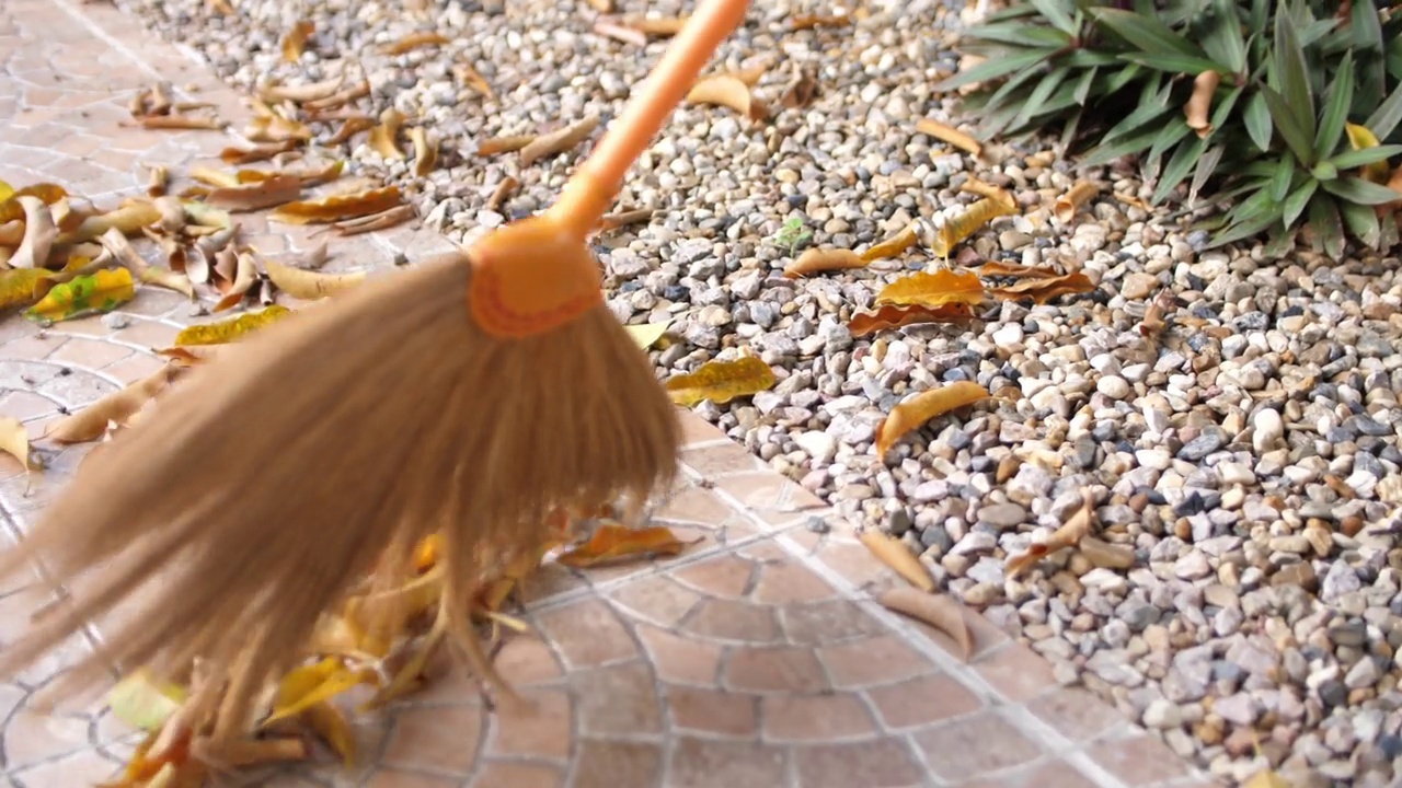 一个在家里捡落叶的女人视频下载