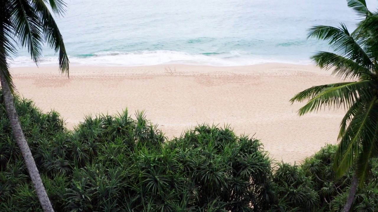幸福的情侣在爱中奔向印度洋的海浪，一起享受游泳的乐趣。无人机在斯里兰卡坦加勒附近拍摄了环绕完美沙滩的棕榈树。视频素材