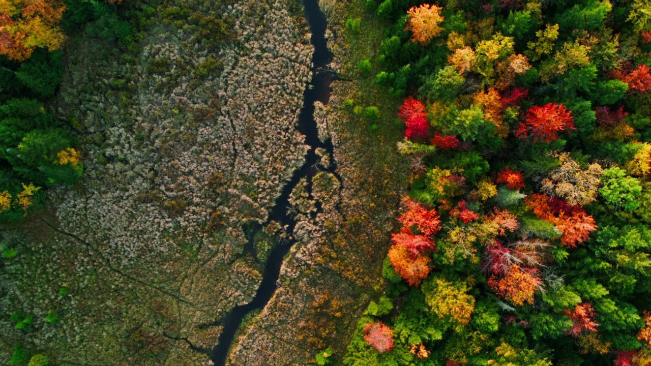 鸟瞰海恩斯瀑布附近的树林中的小溪，纽约在秋天视频素材