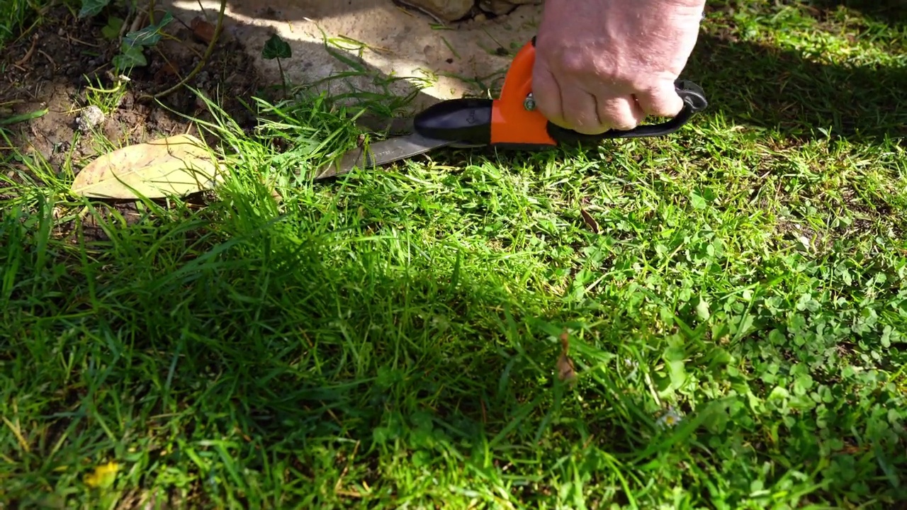 热情的农民使用手工花园剪刀修剪新鲜生长的绿草在他的私人草坪，男子照顾院子用剪刀割草。精准草坪修剪，园艺理念视频下载
