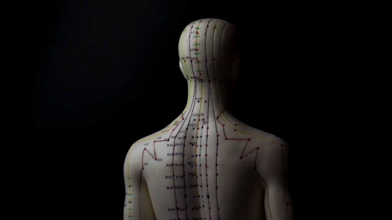 旋转针灸人体模型显示人体的经络旋转与穆迪高对比度照明概念替代医学治疗和中国传统愈合方法视频下载
