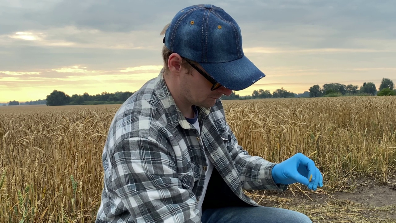 农学家在田间进行土壤酸性试验石蕊试纸视频素材