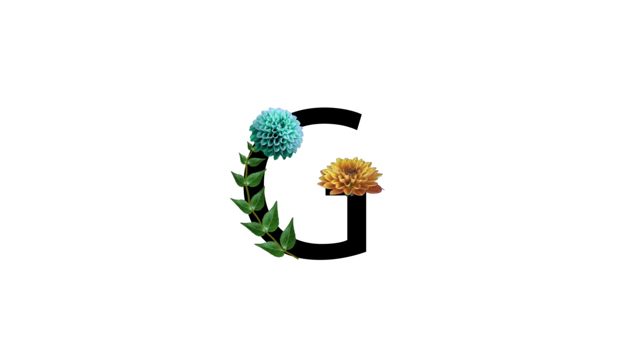 字母G上有花，白底上有花，花开花落视频素材