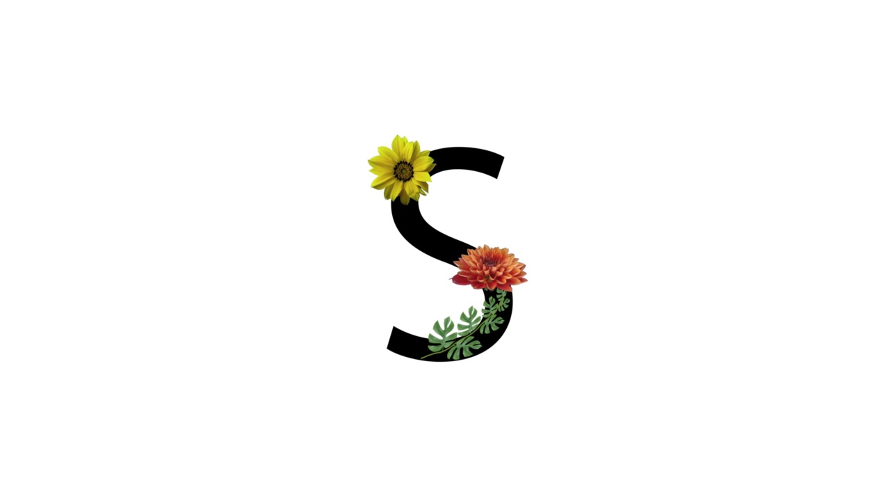 字母S配上白色底色的花，花在字母上，花开花落视频下载