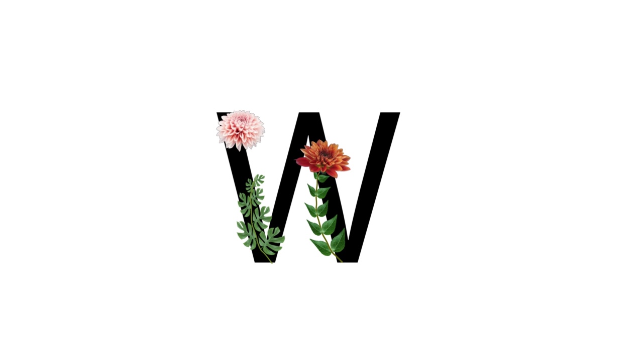 字母W上有白底花，花上有字母，花开花落视频素材