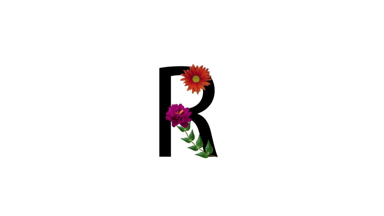 字母R上有花，白底上有花，花开花落视频素材