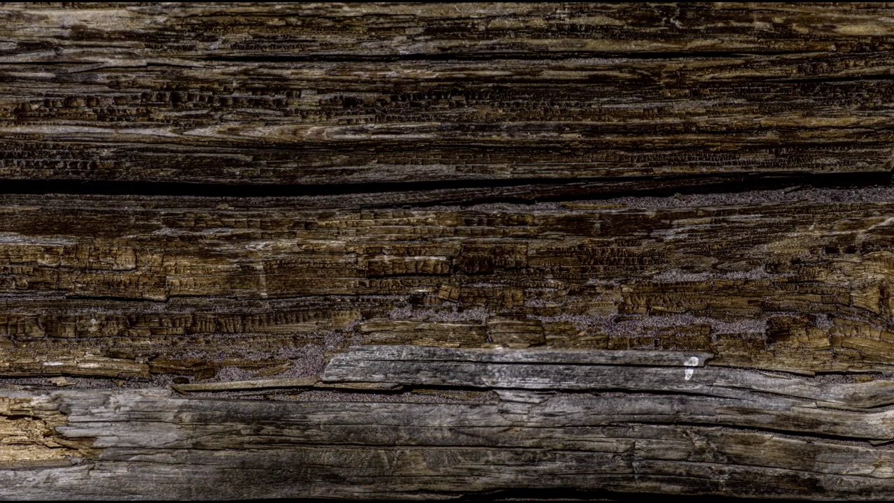 旧的深色粗糙木地板或表面的全景图，有碎片和结。木质的水平平行的甲板或木板。视频下载