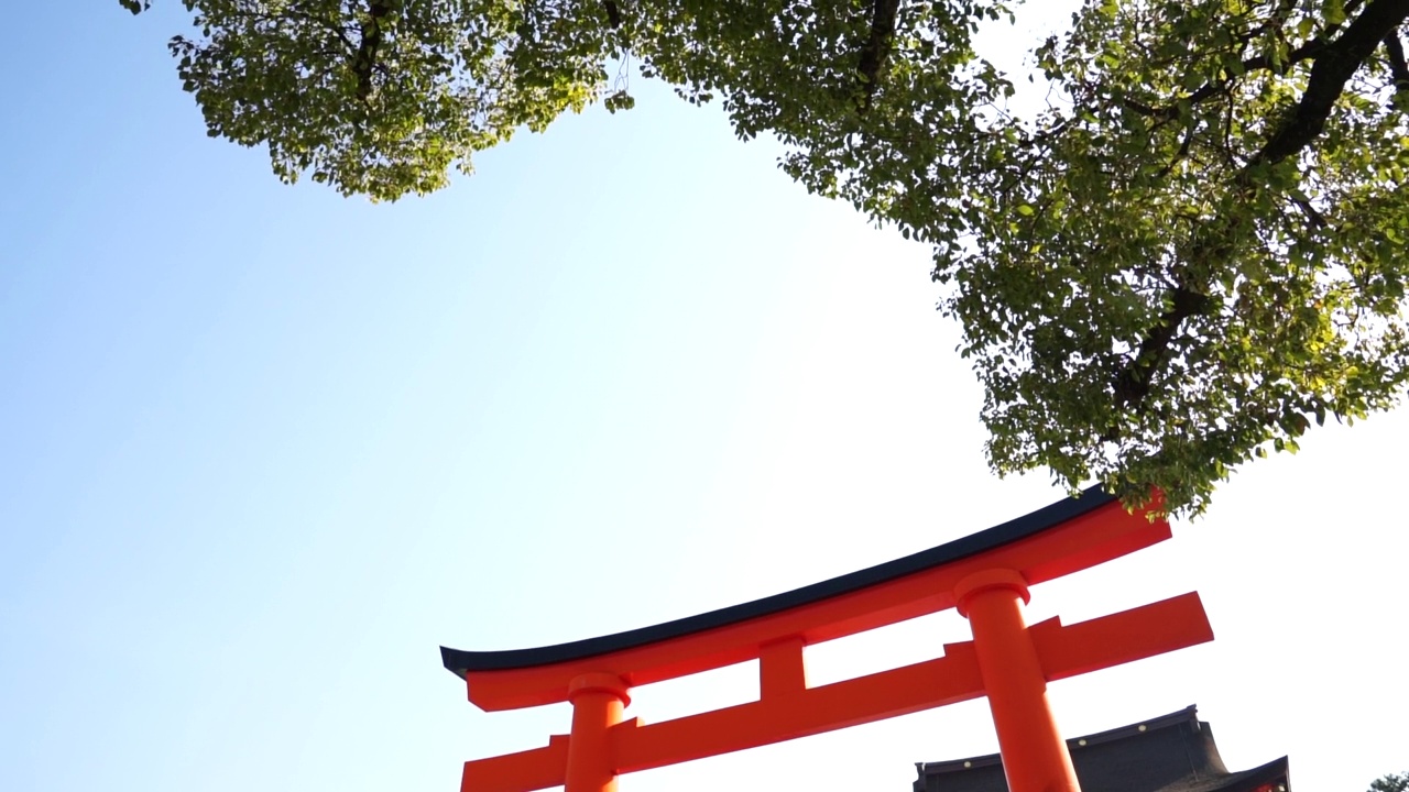 日本，京都，渡假神社。京都，2019年3月2日。视频下载