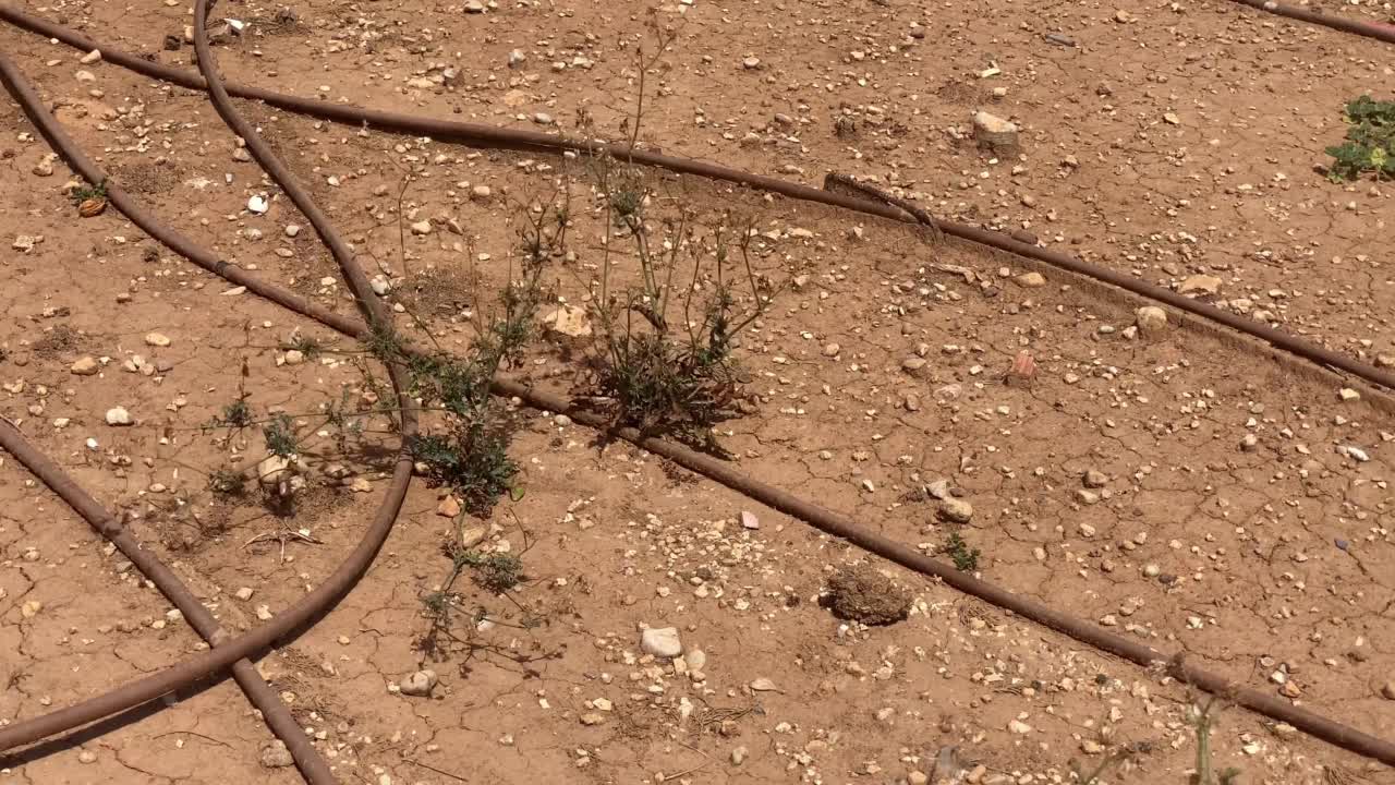 干燥地面上的灌溉设备视频下载