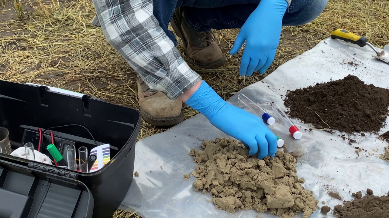 特写男农学家在田间用手揉捏土壤样本视频素材