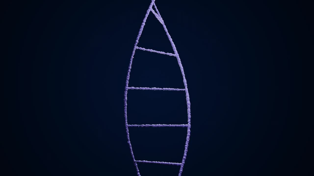 4k视频的浅紫色DNA链在黑色背景与粉红色的闪光。视频下载
